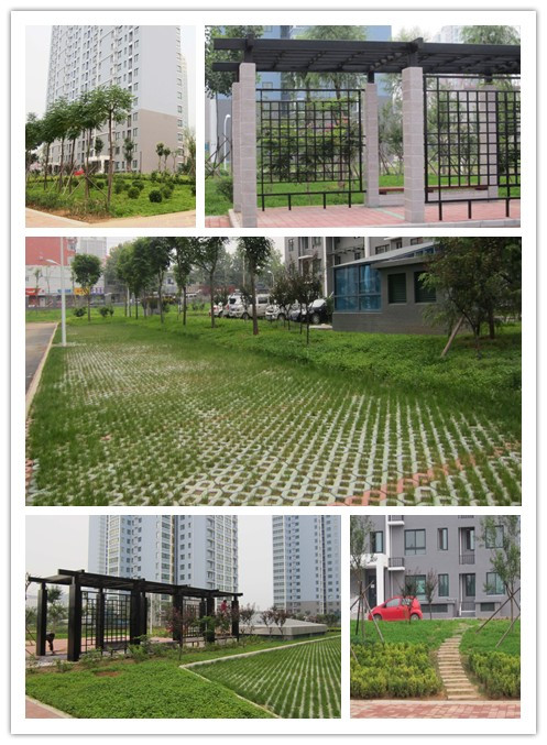 濟南市姚家村村民安置房園林綠化工程